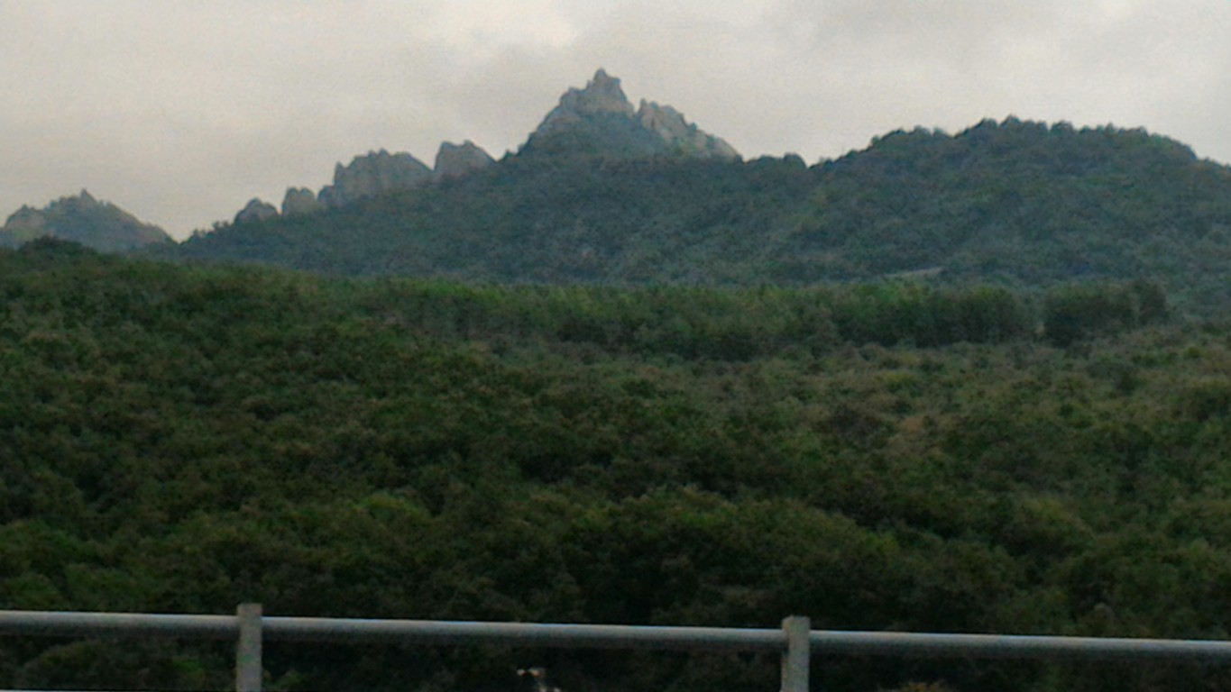 P_20160807_193945 .jpg